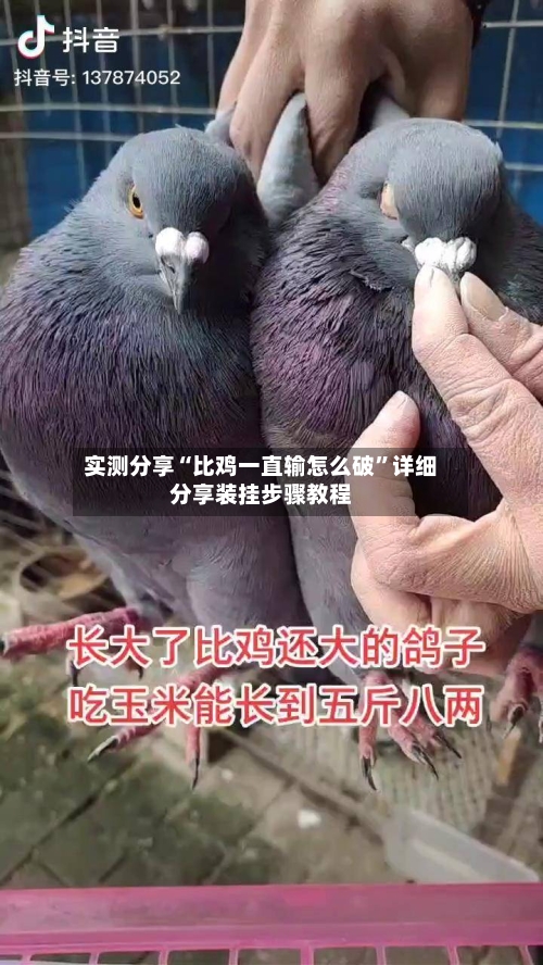 实测分享“比鸡一直输怎么破	”详细分享装挂步骤教程-第1张图片