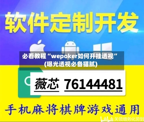 必看教程“wepoker如何开挂透视	”(曝光透视必备猫腻)-第1张图片