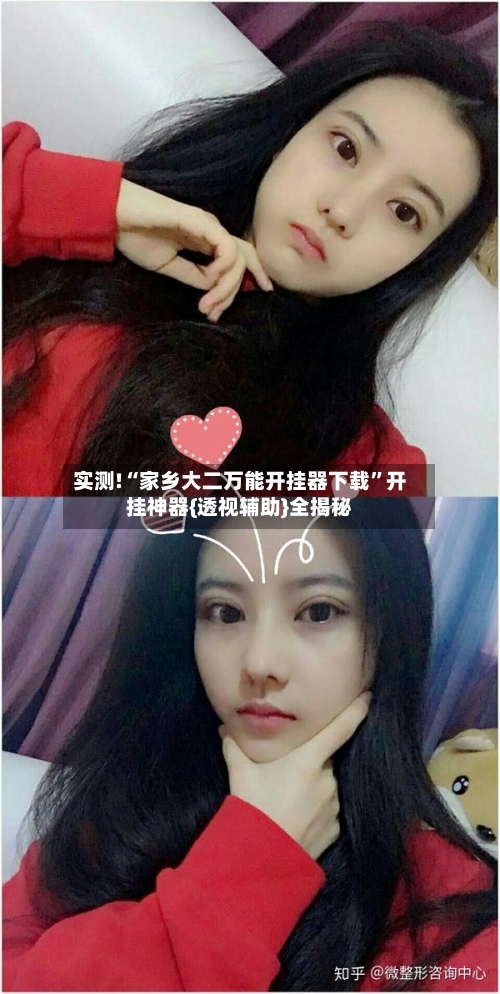 实测!“家乡大二万能开挂器下载”开挂神器{透视辅助}全揭秘-第2张图片