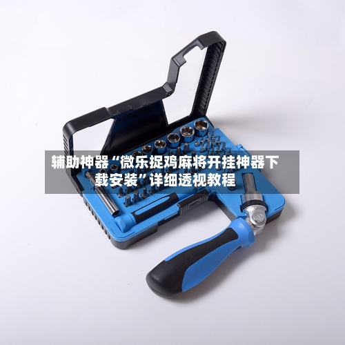 辅助神器“微乐捉鸡麻将开挂神器下载安装”详细透视教程-第1张图片