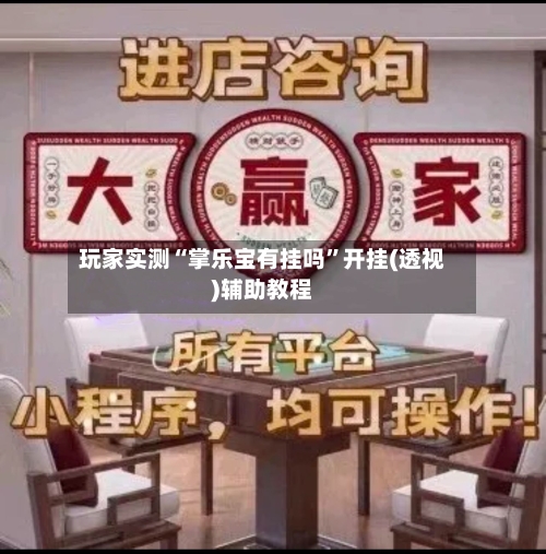 玩家实测“掌乐宝有挂吗”开挂(透视)辅助教程-第1张图片