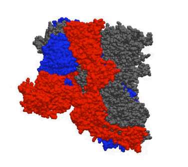 疫情实况全球(全球疫情实时动态下载)-第2张图片