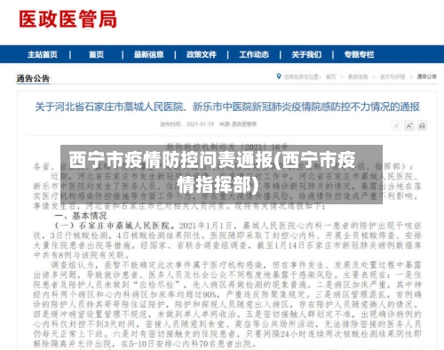 西宁市疫情防控问责通报(西宁市疫情指挥部)-第2张图片