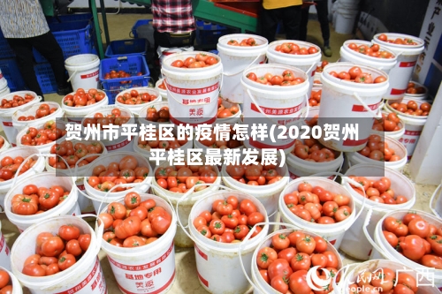 贺州市平桂区的疫情怎样(2020贺州平桂区最新发展)-第3张图片