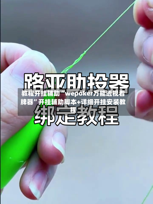 教程开挂辅助“wepoker万能透视看牌器	”开挂辅助脚本+详细开挂安装教程-第1张图片