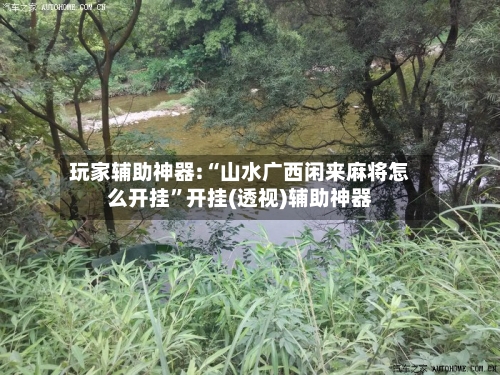 玩家辅助神器:“山水广西闲来麻将怎么开挂”开挂(透视)辅助神器-第1张图片