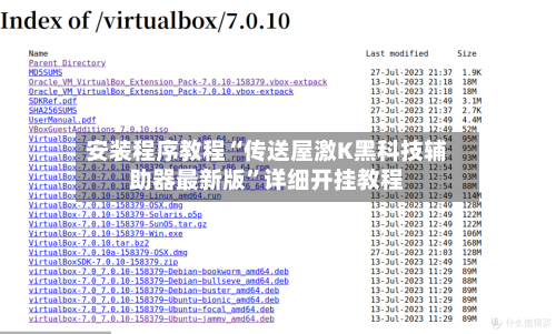 安装程序教程“传送屋激K黑科技辅助器最新版”详细开挂教程-第2张图片