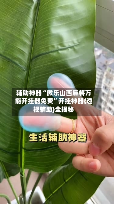 辅助神器“微乐山西麻将万能开挂器免费”开挂神器{透视辅助}全揭秘-第2张图片