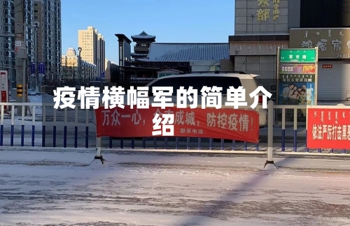 疫情横幅军的简单介绍-第3张图片