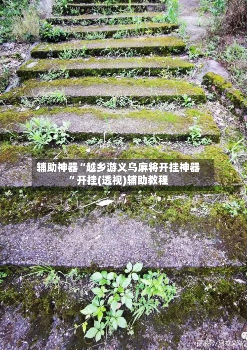 辅助神器“越乡游义乌麻将开挂神器	”开挂(透视)辅助教程-第2张图片