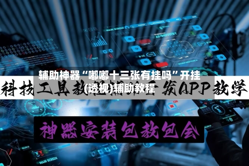 辅助神器“嘟嘟十三张有挂吗	”开挂(透视)辅助教程-第2张图片