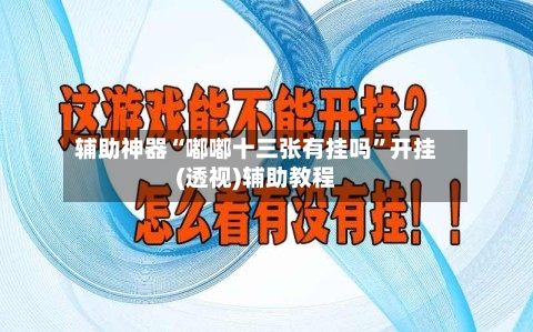 辅助神器“嘟嘟十三张有挂吗”开挂(透视)辅助教程-第3张图片