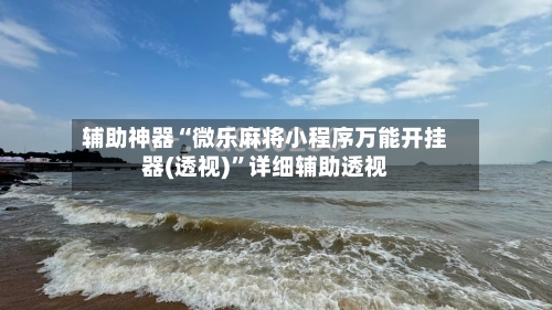 辅助神器“微乐麻将小程序万能开挂器(透视)	”详细辅助透视-第2张图片