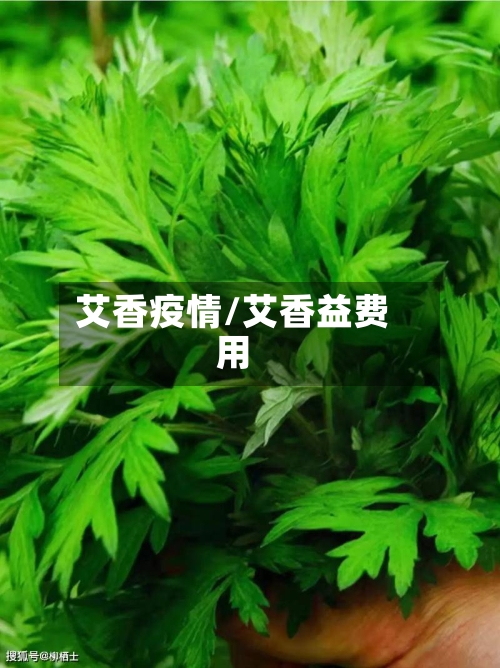 艾香疫情/艾香益费用-第1张图片