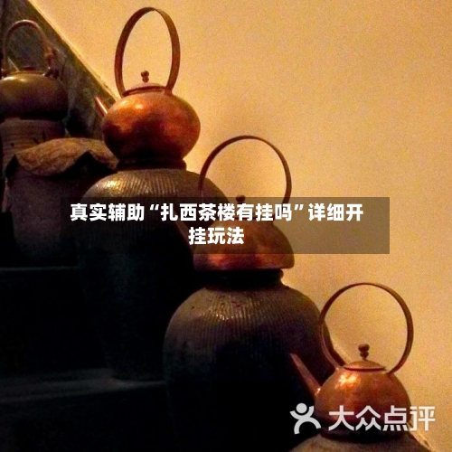 真实辅助“扎西茶楼有挂吗	”详细开挂玩法-第1张图片