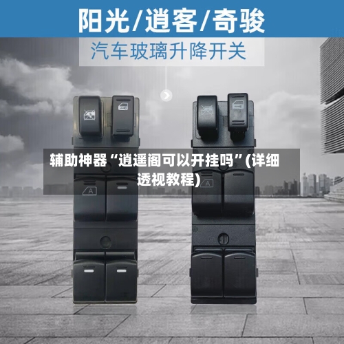 辅助神器“逍遥阁可以开挂吗”(详细透视教程)-第1张图片