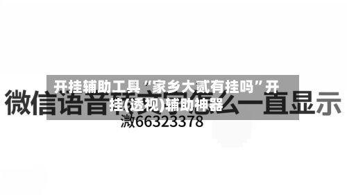 开挂辅助工具“家乡大贰有挂吗	”开挂(透视)辅助神器-第1张图片