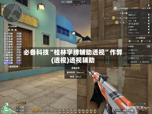 必备科技“桂林字牌辅助透视”作弊(透视)透视辅助-第2张图片