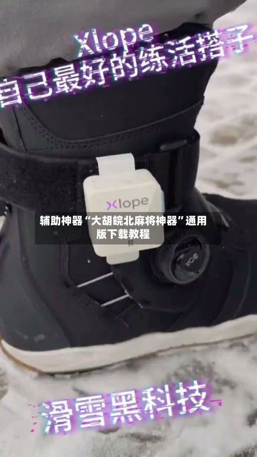 辅助神器“大胡皖北麻将神器	”通用版下载教程-第1张图片