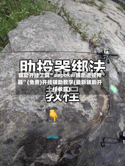 辅助开挂工具“aapoker辅助透视神器”(免费)开挂辅助教学(最新辅助开挂教程)-第3张图片