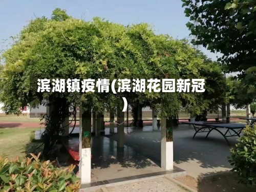 滨湖镇疫情(滨湖花园新冠)-第1张图片