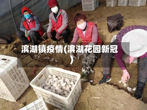 滨湖镇疫情(滨湖花园新冠)-第2张图片