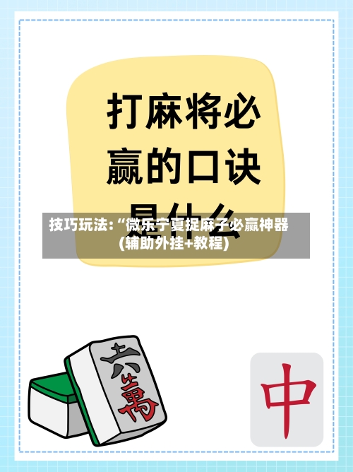 技巧玩法:“微乐宁夏捉麻子必赢神器(辅助外挂+教程)-第1张图片