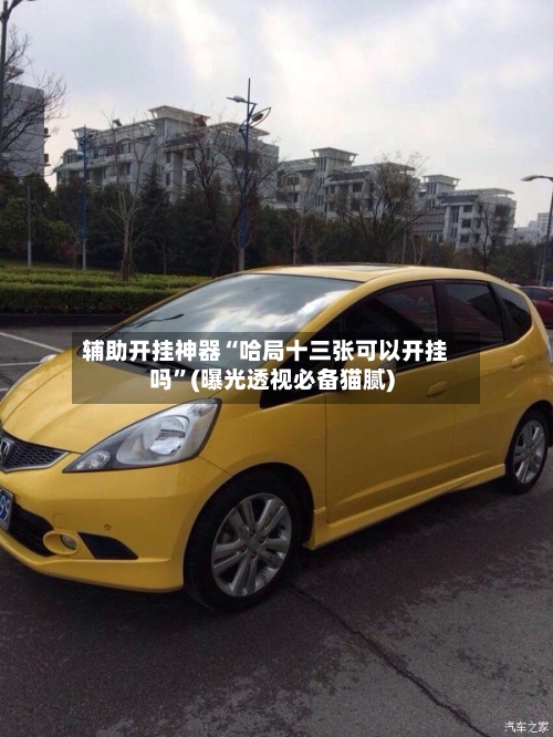 辅助开挂神器“哈局十三张可以开挂吗	”(曝光透视必备猫腻)-第1张图片