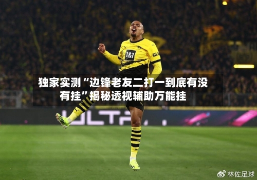 独家实测“边锋老友二打一到底有没有挂”揭秘透视辅助万能挂-第2张图片