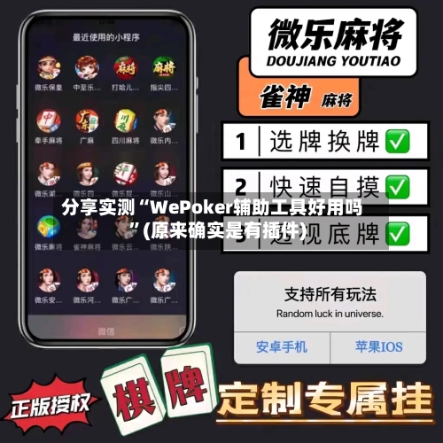 分享实测“WePoker辅助工具好用吗”(原来确实是有插件)-第1张图片