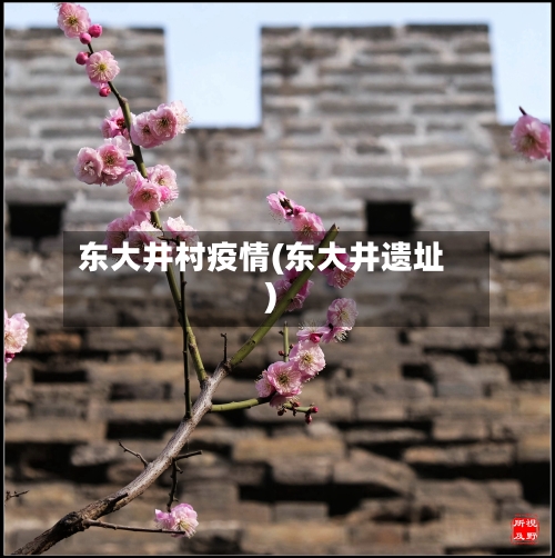 东大井村疫情(东大井遗址)-第1张图片