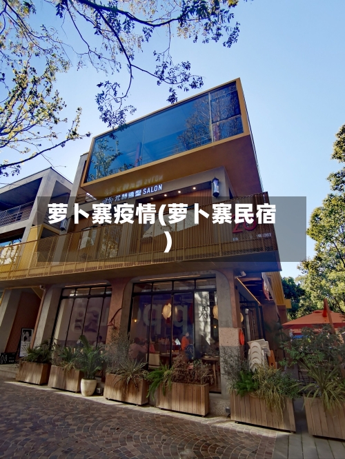 萝卜寨疫情(萝卜寨民宿)-第1张图片