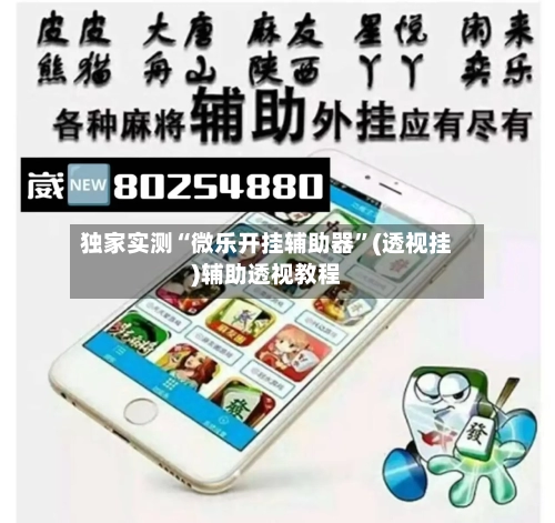 独家实测“微乐开挂辅助器”(透视挂)辅助透视教程-第3张图片