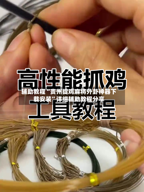 辅助教程“贵州捉鸡麻将外卦神器下载安装”详细辅助教程分享-第2张图片