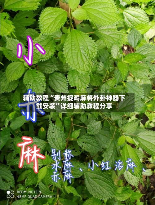 辅助教程“贵州捉鸡麻将外卦神器下载安装	”详细辅助教程分享-第1张图片