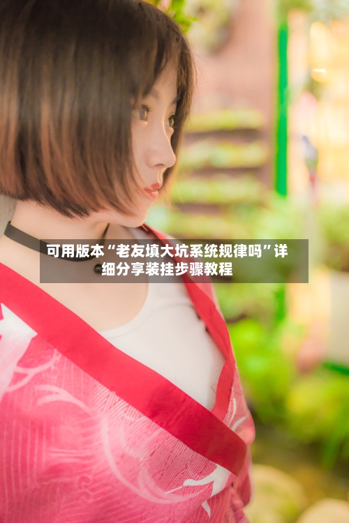 可用版本“老友填大坑系统规律吗	”详细分享装挂步骤教程-第2张图片