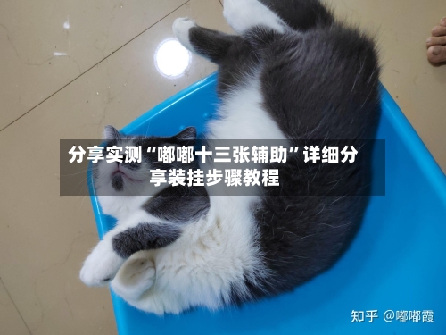 分享实测“嘟嘟十三张辅助”详细分享装挂步骤教程-第1张图片