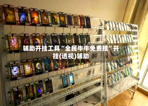 辅助开挂工具“全民牛牛免费挂”开挂(透视)辅助-第1张图片