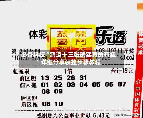 必备科技“鸿运十三张确实真的有挂”详细分享装挂步骤教程-第1张图片