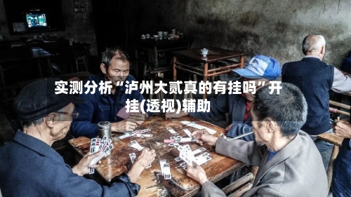 实测分析“泸州大贰真的有挂吗”开挂(透视)辅助-第1张图片