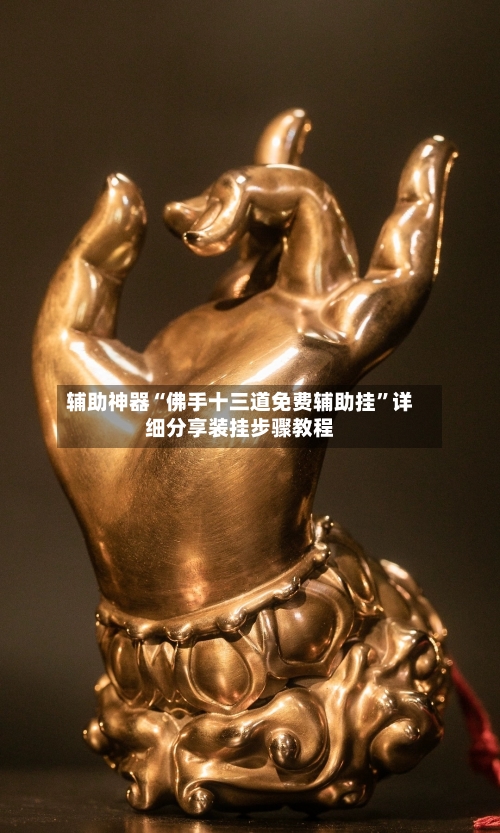 辅助神器“佛手十三道免费辅助挂	”详细分享装挂步骤教程-第1张图片