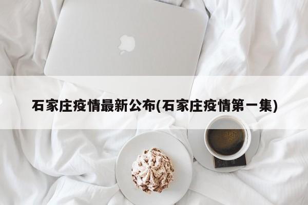 石家庄疫情最新公布(石家庄疫情第一集)