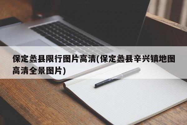 保定蠡县限行图片高清(保定蠡县辛兴镇地图高清全景图片)