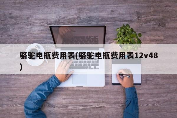 骆驼电瓶费用表(骆驼电瓶费用表12v48)