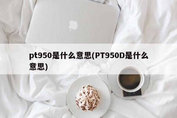 pt950是什么意思(PT950D是什么意思)