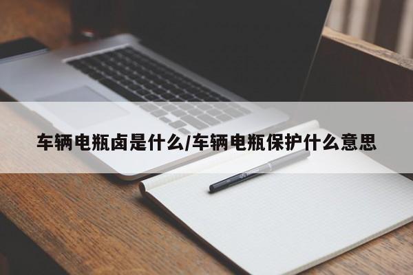 车辆电瓶卤是什么/车辆电瓶保护什么意思