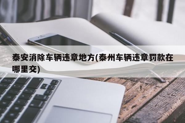 泰安消除车辆违章地方(泰州车辆违章罚款在哪里交)