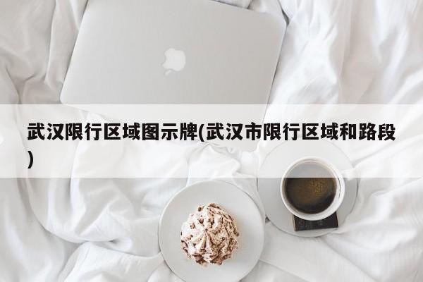 武汉限行区域图示牌(武汉市限行区域和路段)