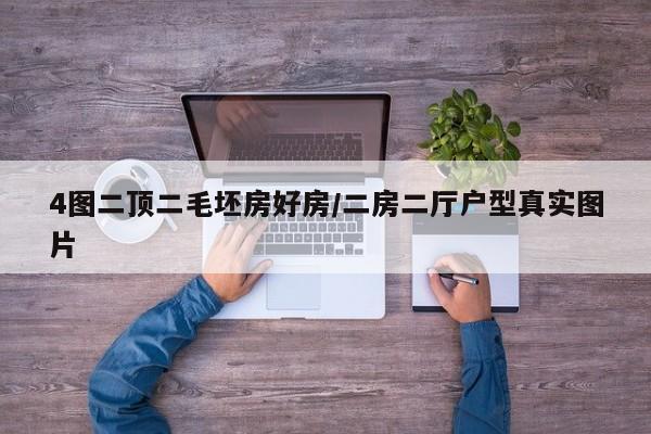 4图二顶二毛坯房好房/二房二厅户型真实图片