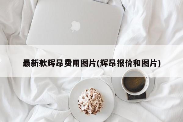 最新款辉昂费用图片(辉昂报价和图片)